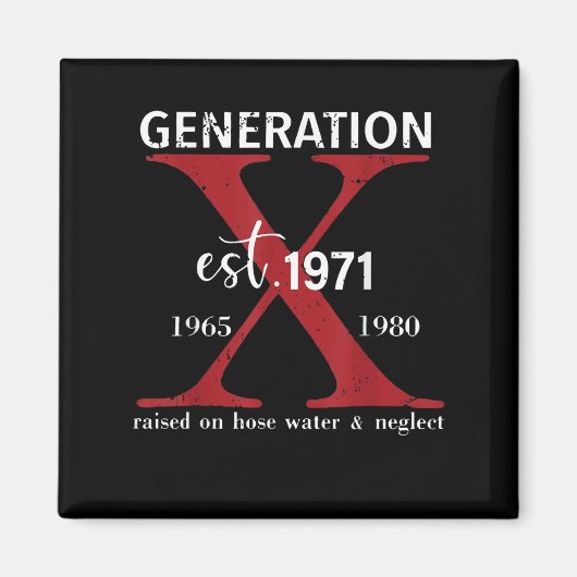 世代Xテスト1971年ホース水とNe上で上昇 マグネット (正面)