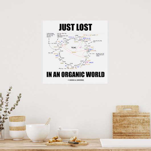 世失った界にオーガニックある ポスター (キッチン)