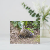 世最高の界の母 ポストカード (スタンド正面)