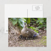 世最高の界の母 ポストカード (正面/裏面)