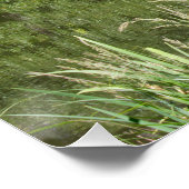 世田谷公園ウィーンオーストリア ポスター (コーナー)