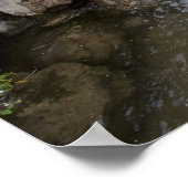 世田谷公園 ポスター (角)