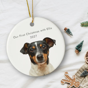 世界でひとつのペットの犬の写真が入ったファーストクリスマスネーム セラミックオーナメント