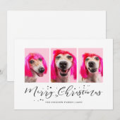 世界で一つだけのペット３人（匹）写真クリスマスホリデー シーズンカード (正面/裏面)