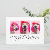 世界で一つだけのペット３人（匹）写真クリスマスホリデー シーズンカード (スタンド正面)