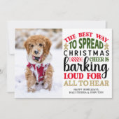 世界で一つだけの愛犬のクリスマス写真　カスタムオーダー写真 シーズンカード (正面)