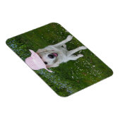 世界で一番甘い犬 マグネット (右側)