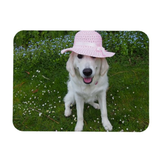 世界で一番甘い犬 マグネット (横)