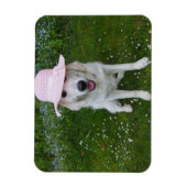 世界で一番甘い犬 マグネット (縦)