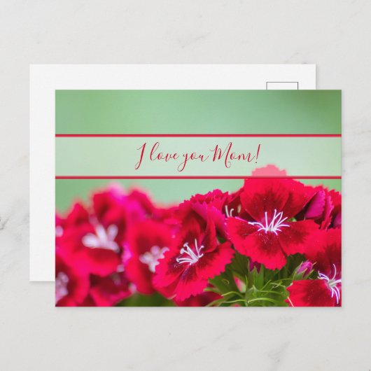 世界で一番素敵なママへ　母の日のプレゼントです！ ポストカード (正面/裏面)