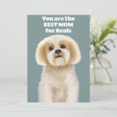 世界で一番素敵なママ シーズンカード (スタンド正面)