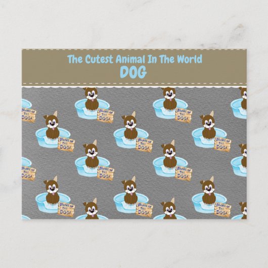 世界で最も可愛い動物 ポストカード (正面)