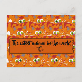世界で最も可愛い動物 ポストカード