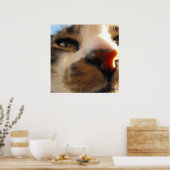 世界で最も愛される猫 ポスター (キッチン)