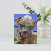 世界で最も醜い犬 ポストカード (スタンド正面)