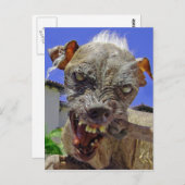 世界で最も醜い犬 ポストカード (正面/裏面)