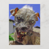 世界で最も醜い犬 ポストカード (正面)