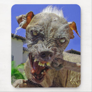 世界で最も醜い犬 マウスパッド