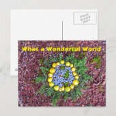 世界とは ポストカード (正面/裏面)