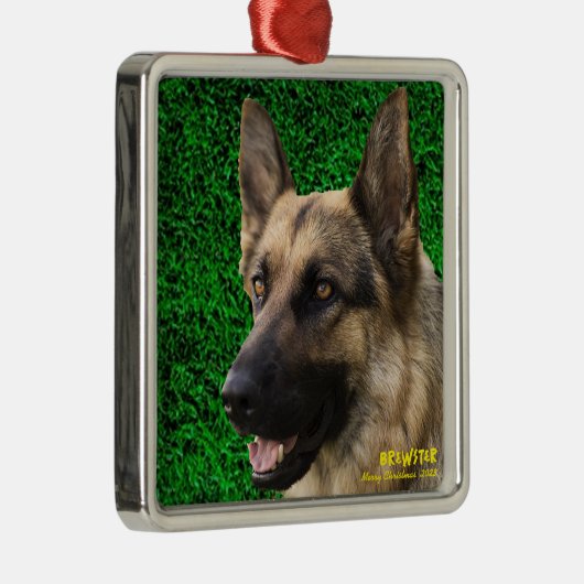 世界に一つだけのペットオーナメント、ペットの犬の写真と名前 メタルオーナメント (右)