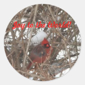 世界に喜ぶ赤い男性の（鳥）ショウジョウコウカンチョウ ラウンドシール (正面)