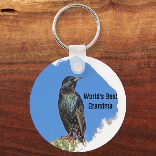 世界のおばあ最高のちゃんスターリングとサボテン南西 キーホルダー (正面)