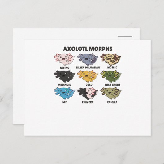 世界のアキソロテルアキソロトル ポストカード (正面/裏面)