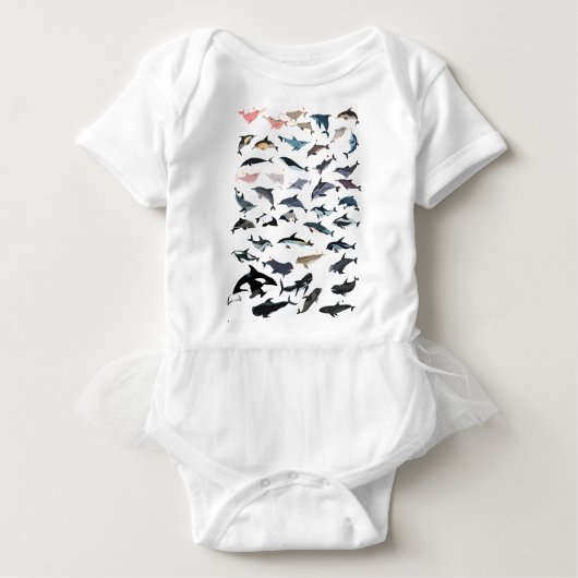 世界のイルカ Tシャツ (正面)