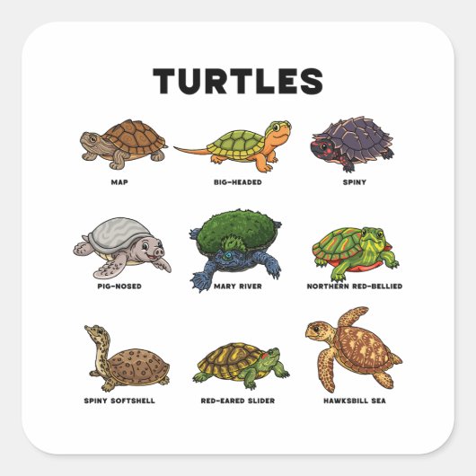 世界のカワイイカートゥーントカゲたち スクエアシール (正面)