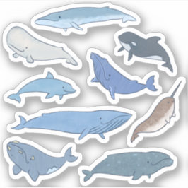 世界のクジラ シール