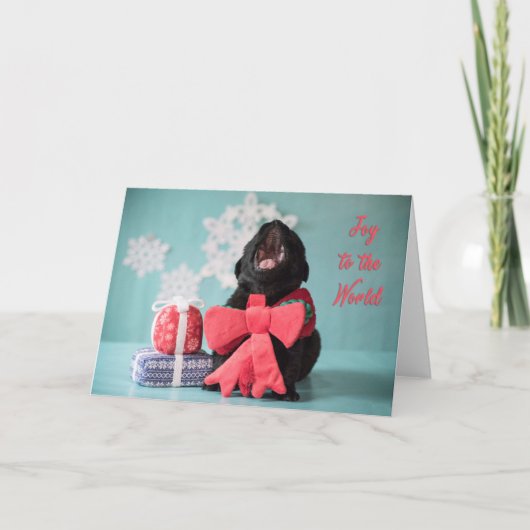 世界のクリスマスの子犬カードへの喜び シーズンカード (正面)