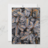 世界のクリスマスツリー家族の写真カードへの喜び シーズンカード (裏面)