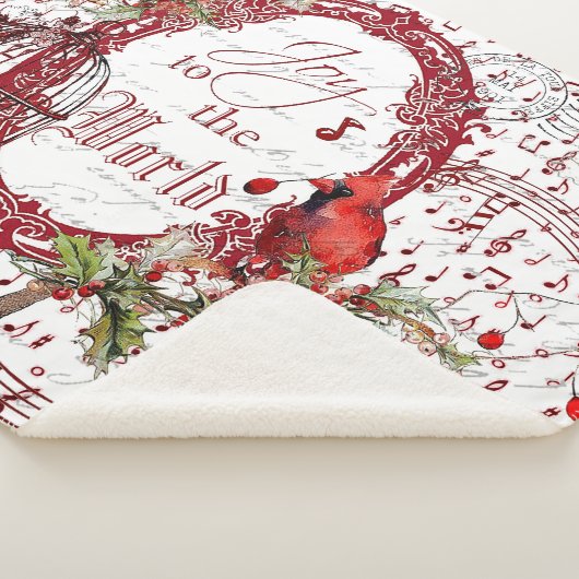 世界のシェルパ毛布に喜び シェルパブランケット (3/4)