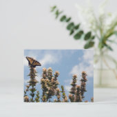 世界のトップ ポストカード (スタンド正面)