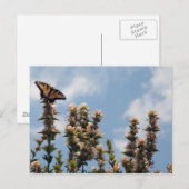 世界のトップ ポストカード (正面/裏面)