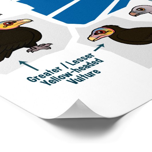 世界のハゲワシ ポスター (角)