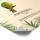 世界のパロッツ – オーストラリア ポスター (角)