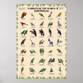 世界のパロッツ – オーストラリア ポスター