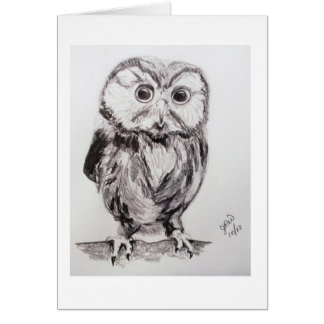 世界のフクロウはですか。