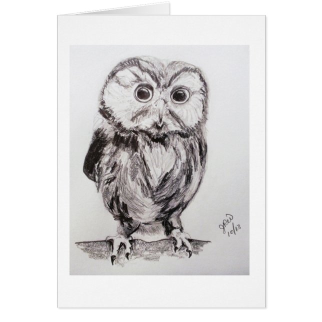 世界のフクロウはですか。 (正面)