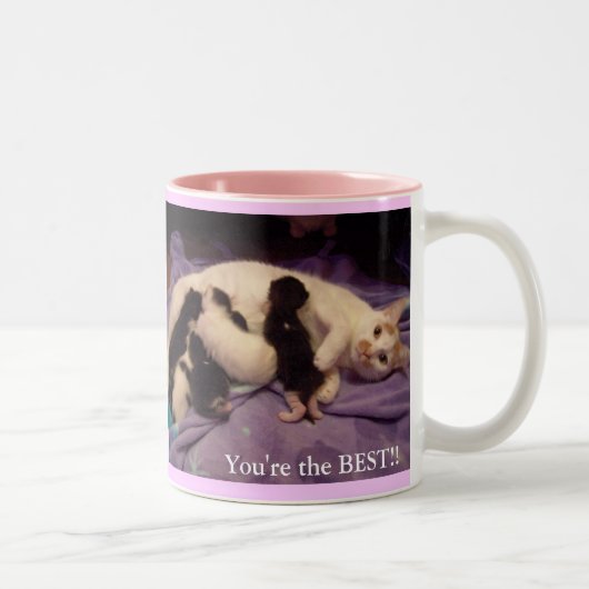 世界のベストのベビーシッター!!! ツートーンマグカップ (右)