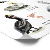 世界のポスターのペリカン ポスター (角)