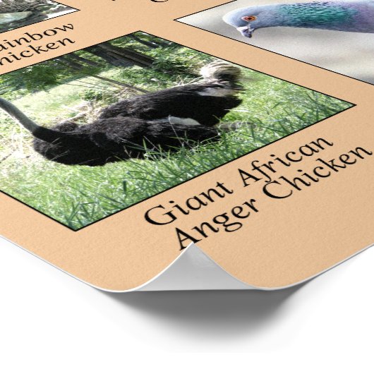 世界のポスターのユーモアのある鶏 ポスター (角)