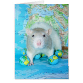 世界のラット日カード