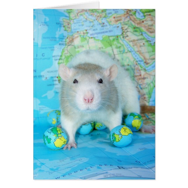 世界のラット日カード (正面)