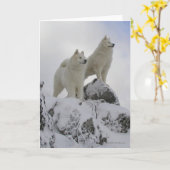 "世界の上"の挨拶状 カード (黄色い花)