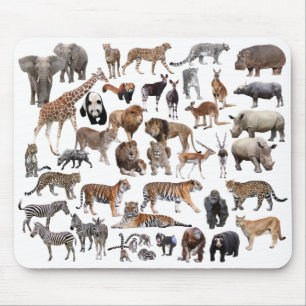 世界の動物のマウスパッド,No.01 マウスパッド