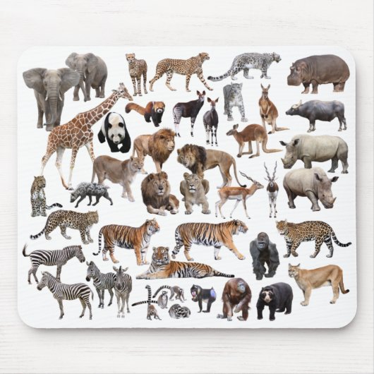 世界の動物のマウスパッド,No.01 マウスパッド (正面)