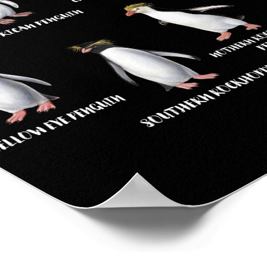 世界の動物の中で最も希少なペンギンおもしろいズ8 ポスター (角)