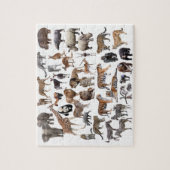 世界の動物の優良製品 ジグソーパズル (縦)